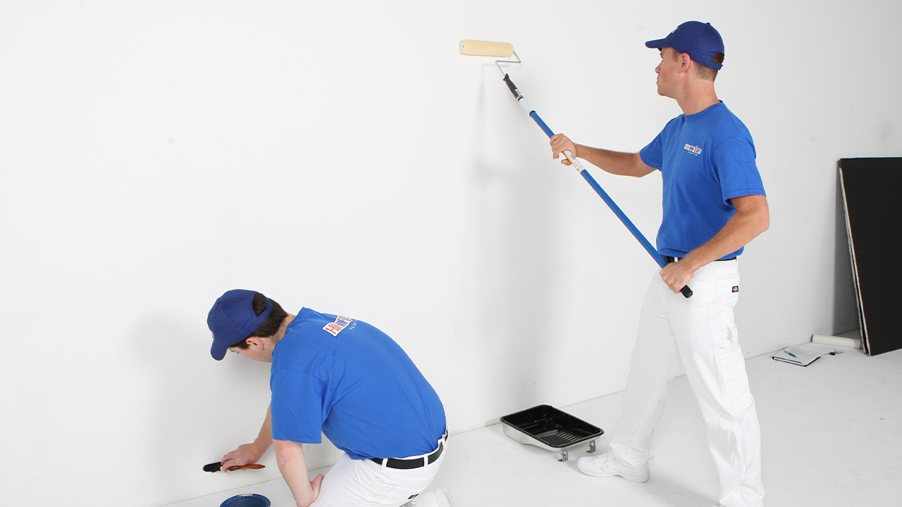 Bayramiç Boya Badanacı